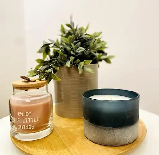 Studiosupercentral Lejlighed